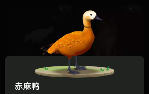 螞蟻森林里的小動物怎么獲得？螞蟻森林里的小動物有哪些？