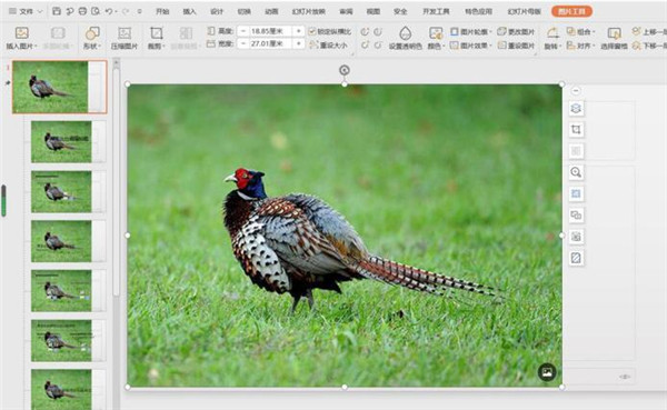 怎么更改PPT母版背景圖片？PPT母版背景圖片修改教程