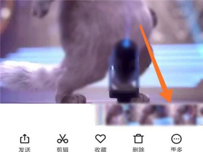 小紅書怎么設置動態壁紙