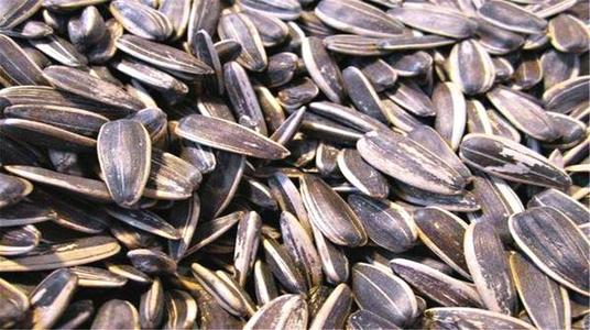 2021年5月6日支付寶螞蟻莊園最新答案！螞蟻莊園小課堂5.6今日最新答案