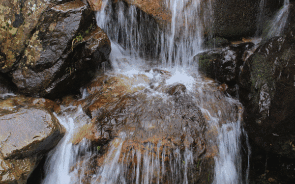 2021年5月3日支付寶螞蟻莊園答案是什么？螞蟻莊園小課堂5.3今日最新答案