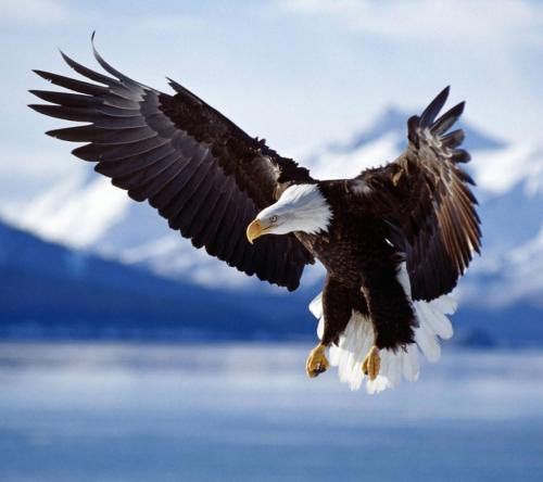 2021年4月30日支付寶螞蟻莊園最新答案！螞蟻莊園小課堂4.30今日最新答案