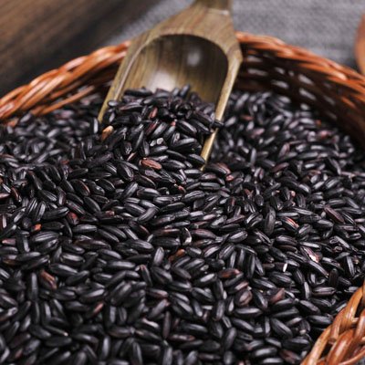 2021年4月30日支付寶螞蟻莊園最新答案！螞蟻莊園小課堂4.30今日最新答案