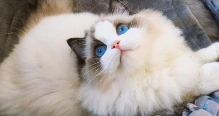 支付寶2021年4月22日螞蟻莊園今日最新答案是什么？螞蟻莊園4.22今日答案介紹