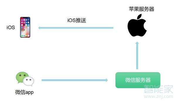 iPhone設(shè)置都開了微信不通知