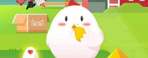 支付寶會員日是每月幾號 支付寶會員日是哪天幾月幾號