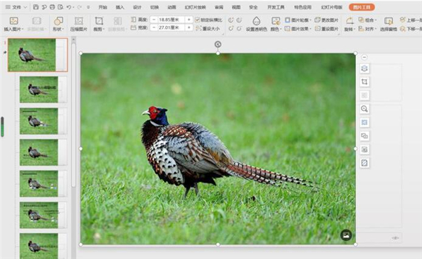 PPT中如何修改母版背景圖片？