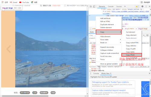 Python爬蟲之教你利用Scrapy爬取圖片