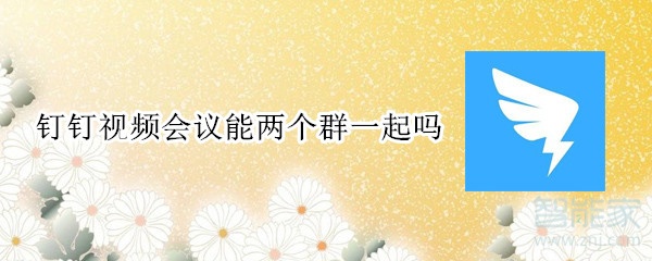 釘釘視頻會議能兩個群一起嗎