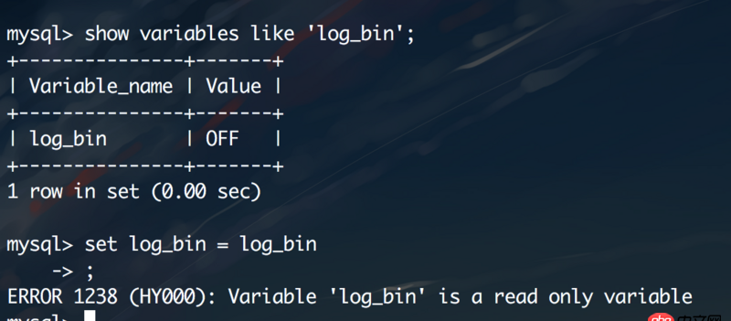 Mac mysql my.cnf 設置