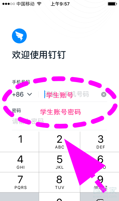 釘釘如何領(lǐng)取學(xué)生號(hào)