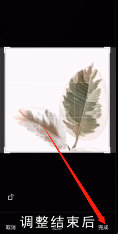 微信封面圖片怎么設(shè)置