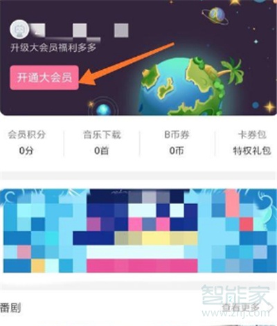 嗶哩嗶哩會員可以幾個人用