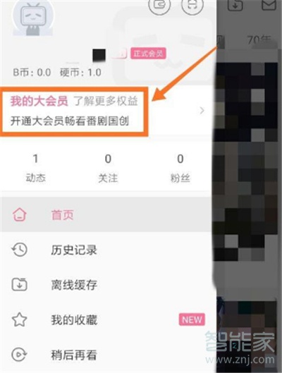嗶哩嗶哩會員可以幾個人用
