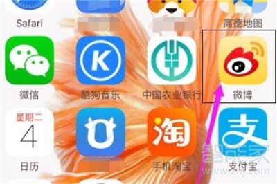 微博視頻怎么轉發到微信朋友圈