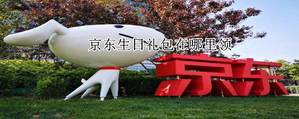 京東生日禮包在哪里領