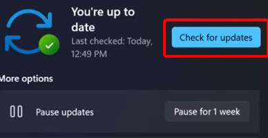 Win11可以支持Win10驅動嗎？Win11系統能否支持Win10驅動詳情