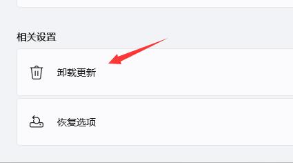 Win11更新后閃屏怎么辦 Win11更新后閃屏的解決辦法