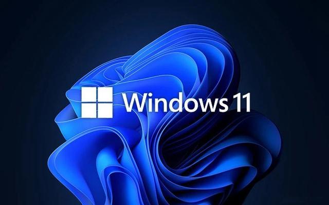 Win11裝什么版本好 Win11鏡像選什么版本