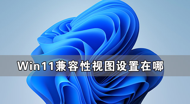 Win11兼容性視圖設置在哪 Win11網頁兼容性怎么設置