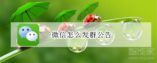 微信怎么發群公告