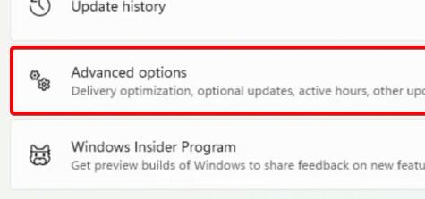 Win11無法裝聲卡驅動怎么辦？Win11無法裝聲卡驅動的解決方法