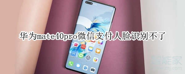 華為mate40pro微信支付人臉識別不了