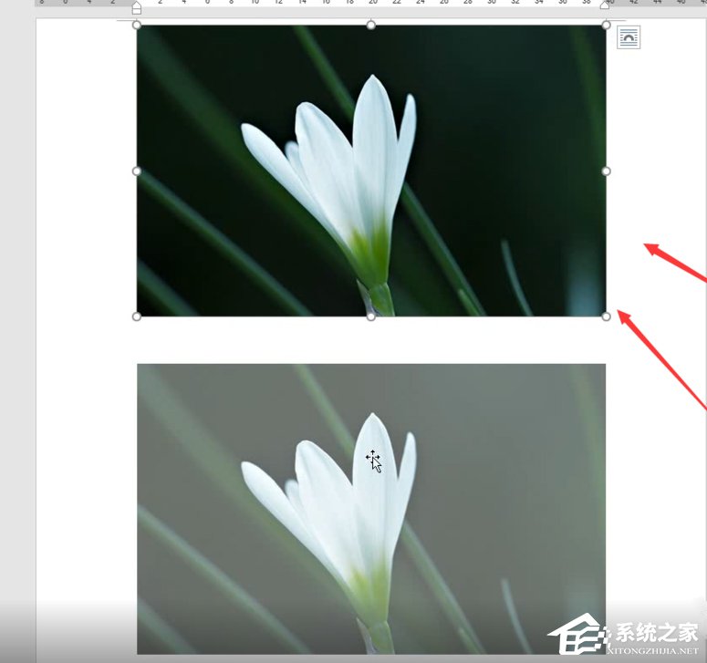 Word如何制作雙重曝光特效？制作雙重曝光特效的方法