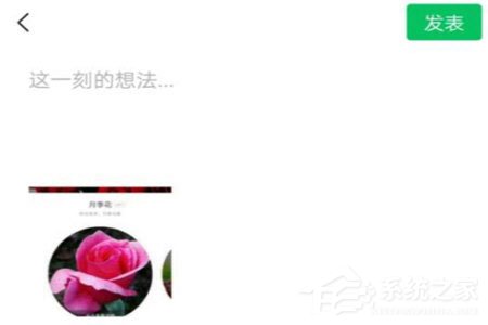 形色識花怎么分享到微信？形色識花怎么分享到微信的方法