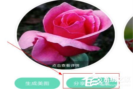 形色識花怎么分享到微信？形色識花怎么分享到微信的方法