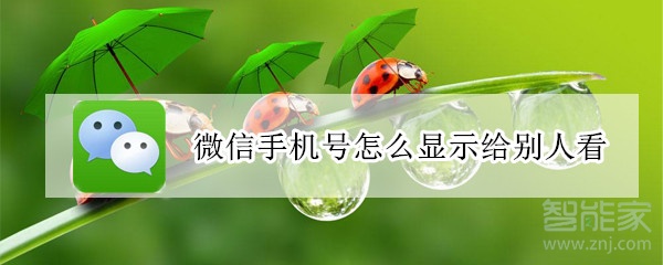 微信手機號怎么顯示給別人看