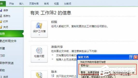 excel 2010怎么加密文檔？excel 2010加密文檔的方法