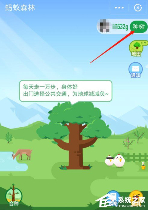 支付寶中怎么獲取螞蟻森林首頁小鹿？支付寶中獲取螞蟻森林首頁小鹿的方法