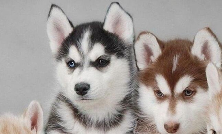 Win10顯示無法全屏怎么解決？Win10顯示無法全屏的解決方法