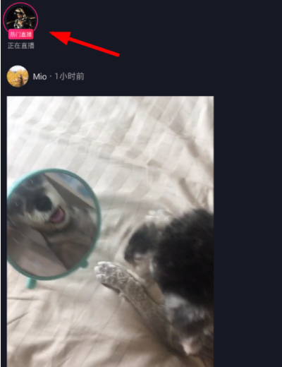 抖音看直播怎么關閉評論