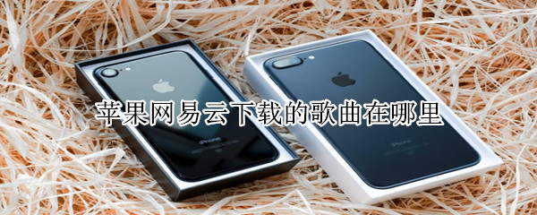 蘋果網(wǎng)易云下載的歌曲在哪里