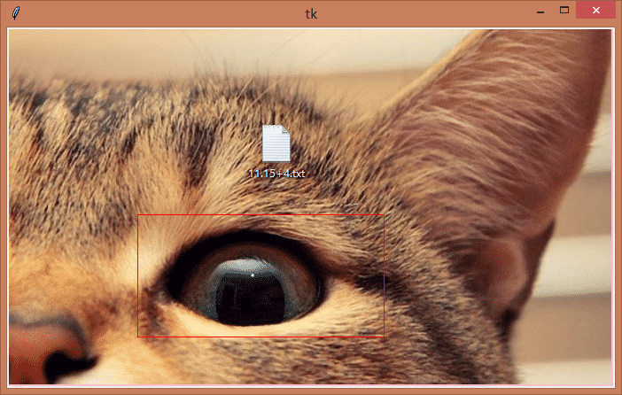 Python基于tkinter canvas實(shí)現(xiàn)圖片裁剪功能