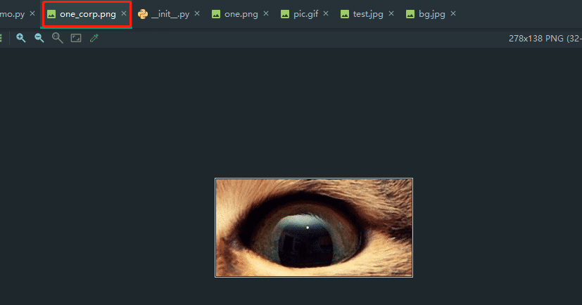Python基于tkinter canvas實(shí)現(xiàn)圖片裁剪功能