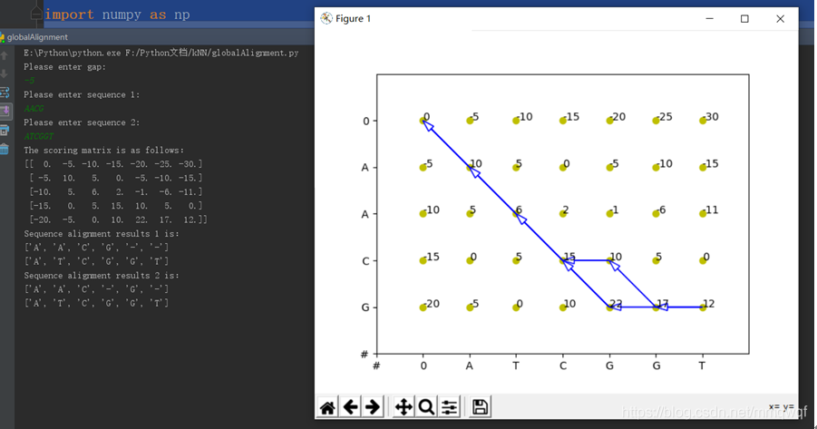 詳解基于python的全局與局部序列比對(duì)的實(shí)現(xiàn)(DNA)