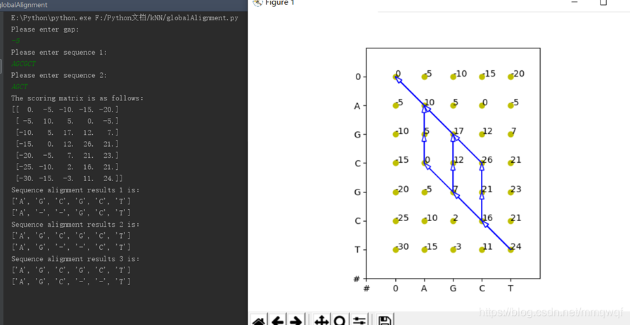 詳解基于python的全局與局部序列比對(duì)的實(shí)現(xiàn)(DNA)