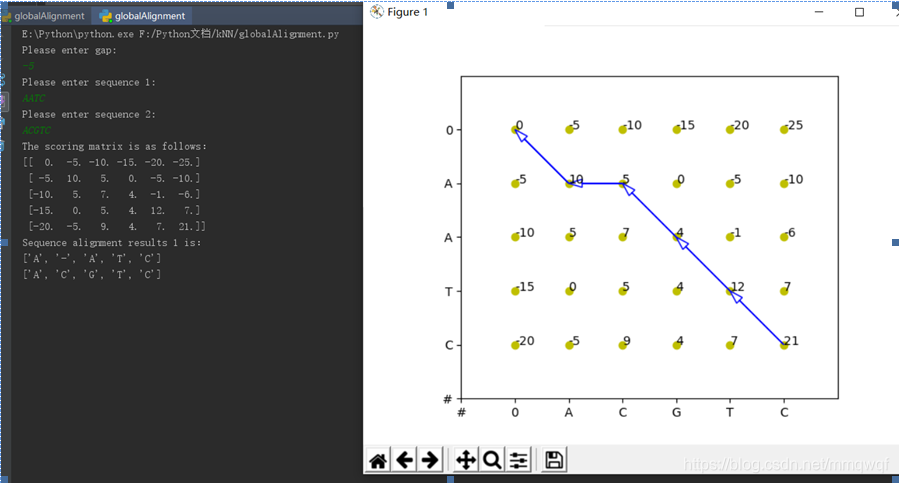 詳解基于python的全局與局部序列比對(duì)的實(shí)現(xiàn)(DNA)