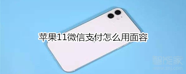 蘋果11微信支付怎么用面容