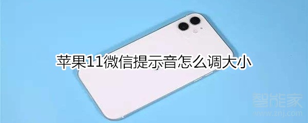 蘋果11微信提示音怎么調大小