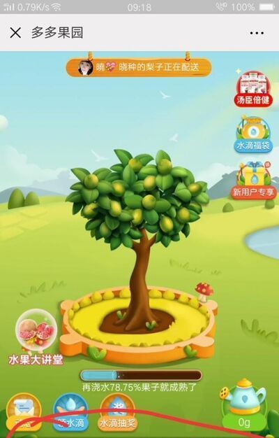 拼多多果園為什么不能偷朋友的水？多多果園種樹