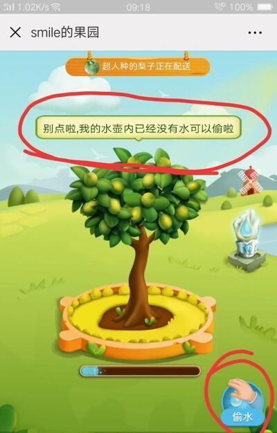 拼多多果園為什么不能偷朋友的水？多多果園種樹