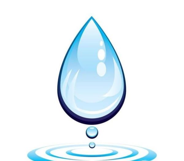 拼多多果園為什么不能偷朋友的水？多多果園種樹