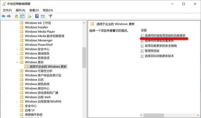 如何阻止電腦自動升級到Win10 21H1版本？