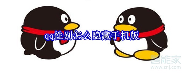 qq性別怎么隱藏手機版