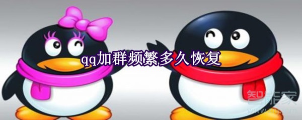 qq加群頻繁多久恢復