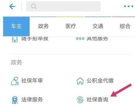 如何使用支付寶查看社保